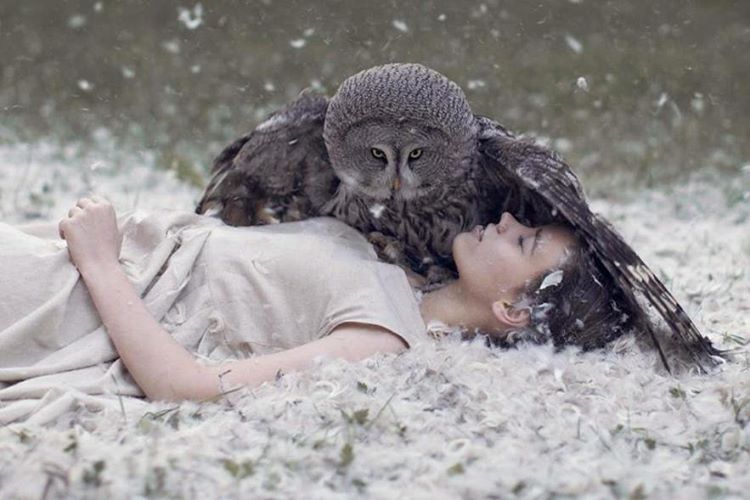 放开那个睡美人，让我来动物gif搞笑图片