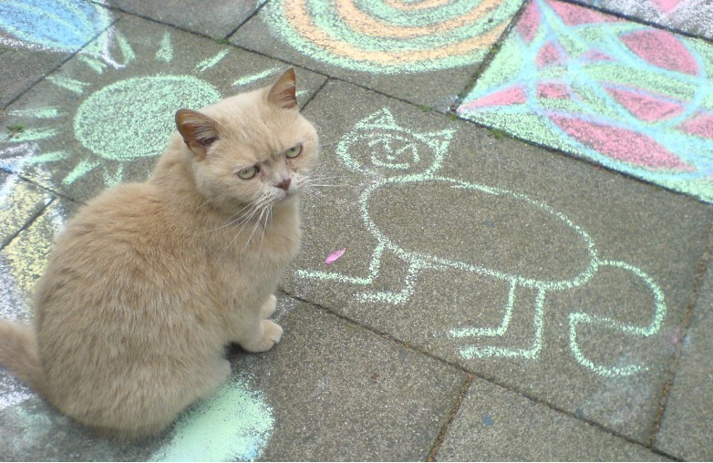 到底是谁，把我画的那么丑动物gif搞笑图片