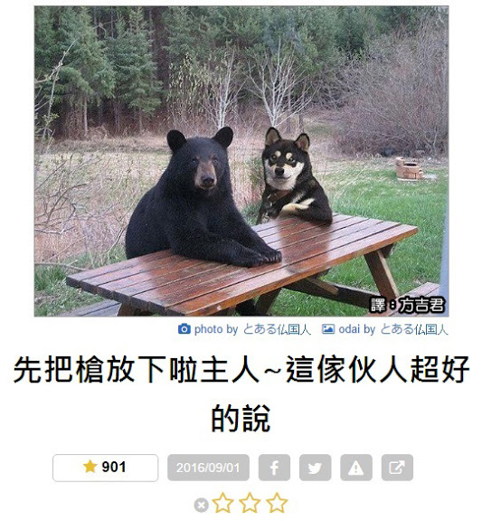 汪星人已经丧失了作为猎犬的尊严动物gif搞笑图片