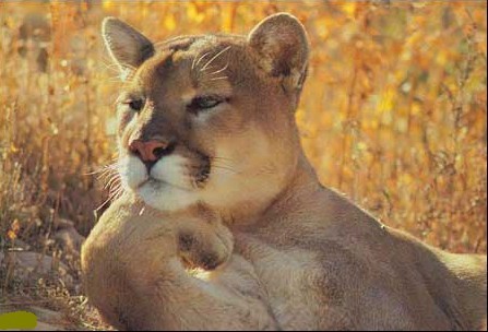 嗯……万物都在变化中……动物gif搞笑图片