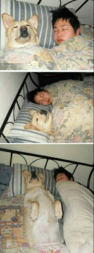 掀开被子那一刻，是如此的销魂，少年，这一夜你经历了什么~动物gif搞笑图片