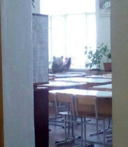 “哈罗，你迟到咯！快来上课”动物gif搞笑图片