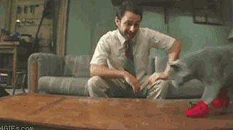 啊啊好不习惯动物gif搞笑图片