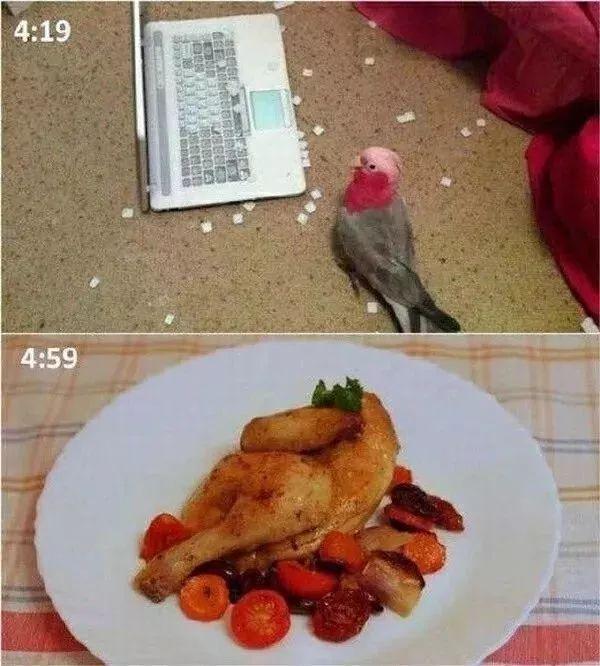 穿衣显瘦，脱衣有肉？动物gif搞笑图片