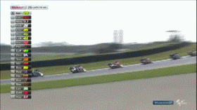 鸽子表示，真是低估了人类的铁头功动物gif搞笑图片