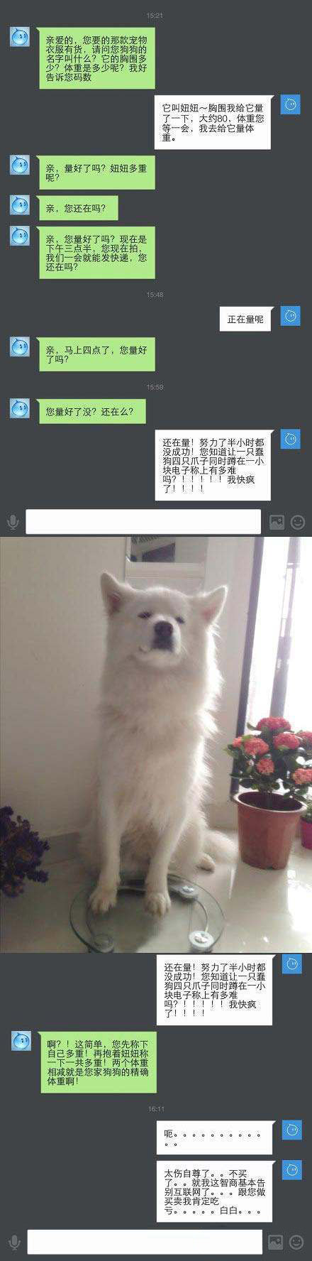 这智商基本上就告别互联网了动物gif搞笑图片