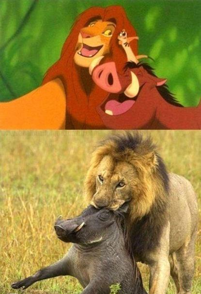 童话里都是骗人的动物gif搞笑图片