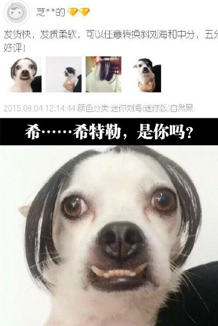 小哥，我找到你那片刘海的兄弟了动物gif搞笑图片