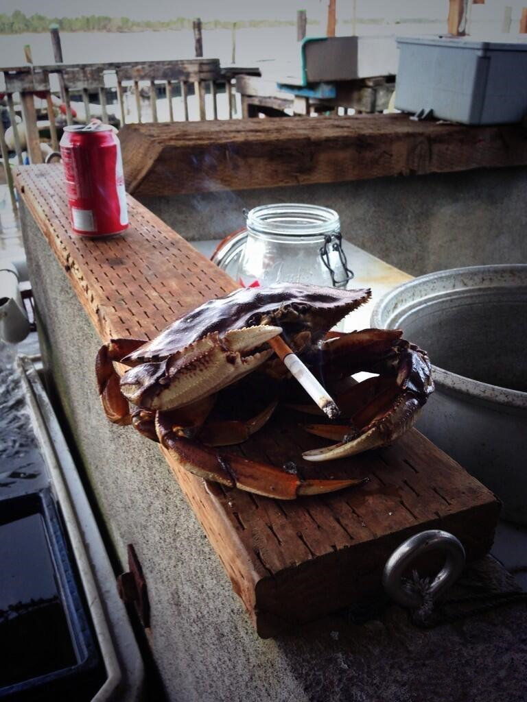 抽完这根就上路动物gif搞笑图片