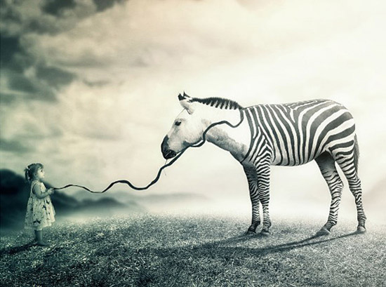 斑马与麻线团动物gif搞笑图片