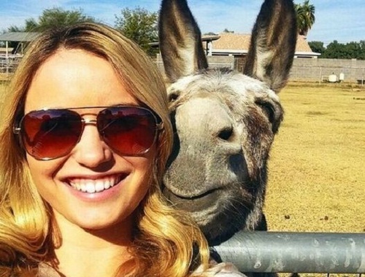 笑的好猥琐动物gif搞笑图片