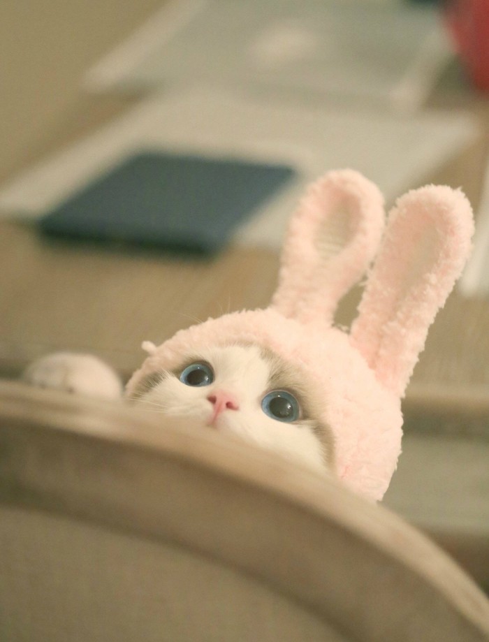 假装自己是一只兔子动物gif搞笑图片