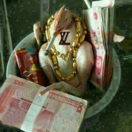 鸭子界的高富帅，白富美。土豪。动物gif搞笑图片