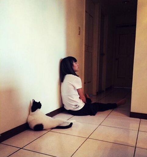 相处久了，变得一样忧郁动物gif搞笑图片