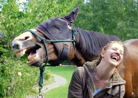 真的很好笑动物gif搞笑图片