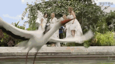 猫咪的表情让我哭笑不得啊动物gif搞笑图片