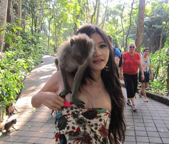 爱袭胸动物gif搞笑图片