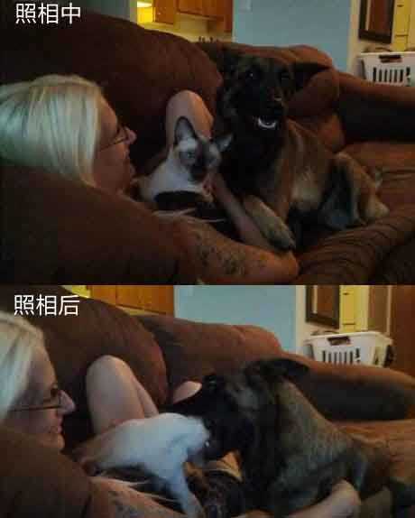 相机拍下的历史都要辨证地看动物gif搞笑图片