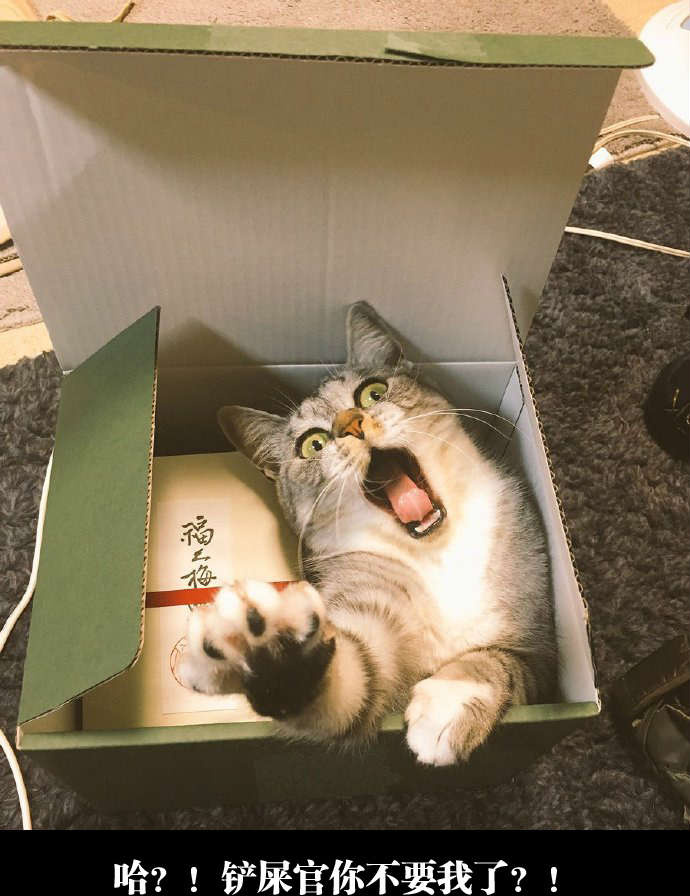 快递小哥，请把这个寄到南极去动物gif搞笑图片