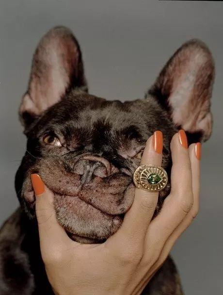 哪有什么单身狗，只是我把别人谈恋爱的时间，都用在玩游戏了动物gif搞笑图片