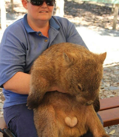 给你们看颗爱心动物gif搞笑图片