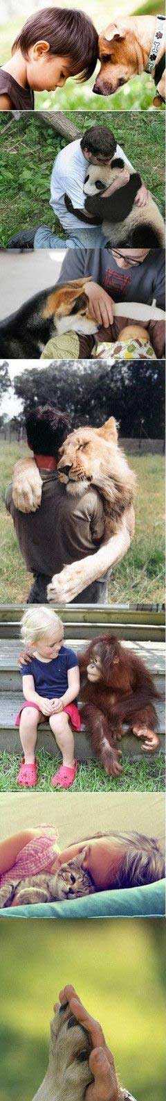 有爱有伴，请珍惜！动物gif搞笑图片