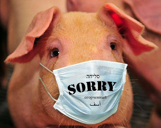 猪也知道戴口罩动物gif搞笑图片