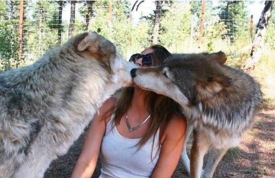 走开，走开，让我亲！让我亲！动物gif搞笑图片