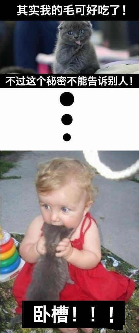 其实我的毛可好吃了动物gif搞笑图片