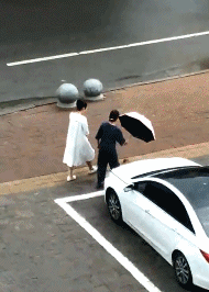 人宠还是兽宠？动物gif搞笑图片