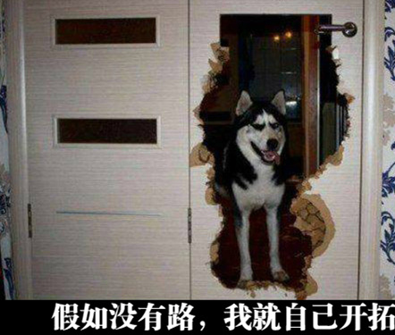 。。。今晚你的晚饭取消动物gif搞笑图片