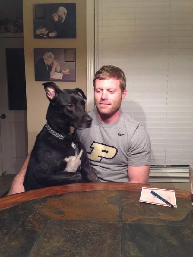 反正它觉得它也是应该在这吃饭的动物gif搞笑图片