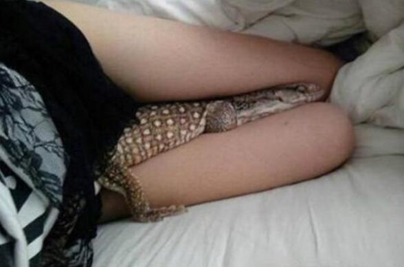 爱好有那么点特殊动物gif搞笑图片