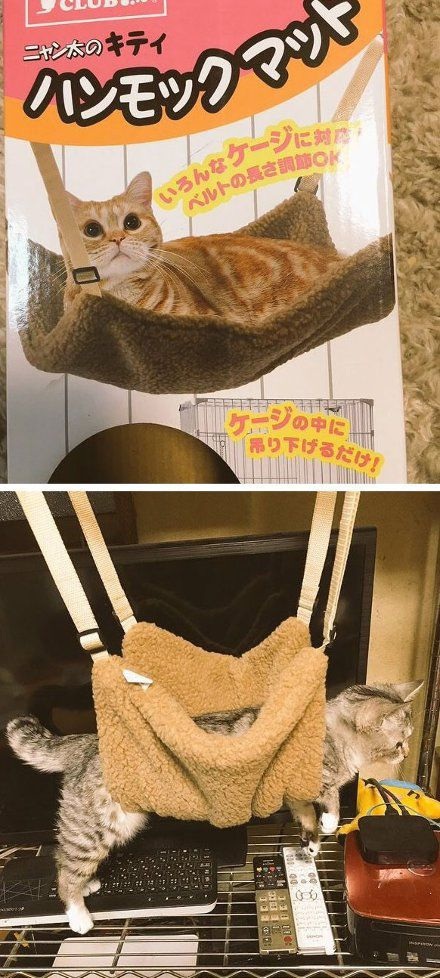 买家秀与卖家秀动物gif搞笑图片