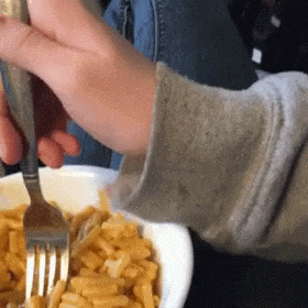 袖里乾坤动物gif搞笑图片