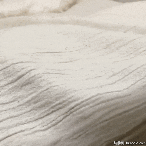 三只猫咪躺在被窝里睡觉gif动态图片动物gif搞笑图片