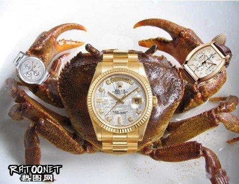 搞笑的螃蟹动物gif搞笑图片