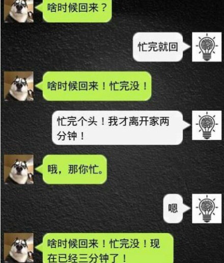 哈士奇和主人微信聊天 哈士奇和主人对话动物gif搞笑图片