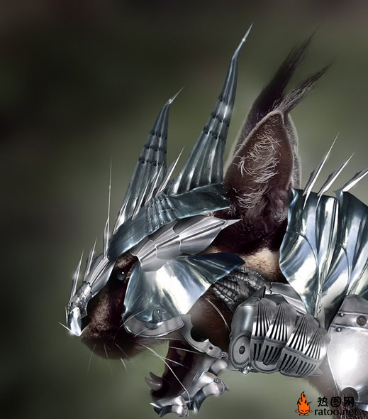 装甲动物动物gif搞笑图片