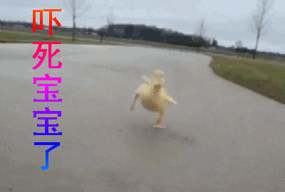 吓死宝宝了动物gif搞笑图片