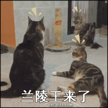 兰陵王来了，快跑动物gif搞笑图片