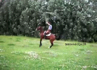 马也能跳绳动物gif搞笑图片