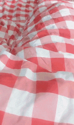 接下来是不是该到我了动物gif搞笑图片