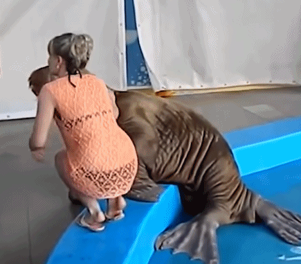 吃的都不给，还想跟我合影，一边去动物gif搞笑图片