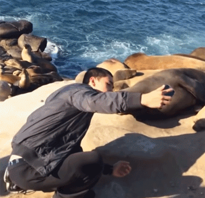 干嘛，想偷拍我呀动物gif搞笑图片