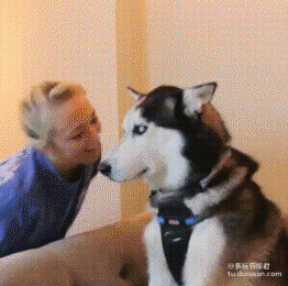 来啊快活呀，摇起来呀动物gif搞笑图片