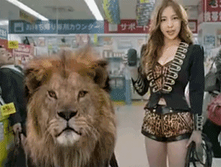 狮子哥，咬他动物gif搞笑图片