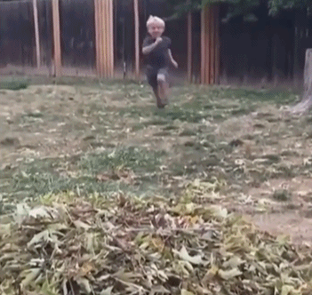 狗狗及时阻止了小朋友的跳坑行为动物gif搞笑图片