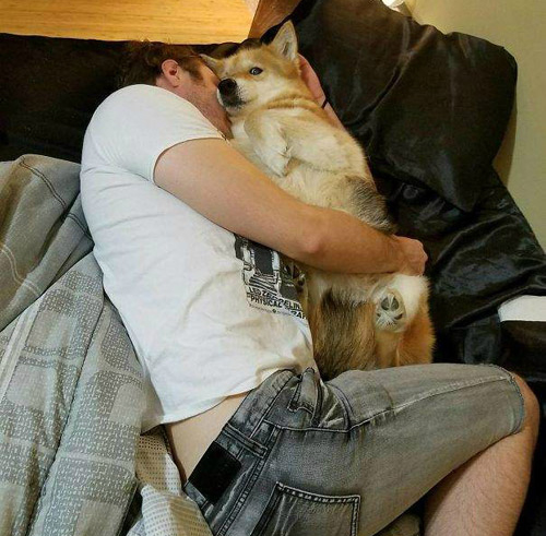 两只单身狗睡在一起动物gif搞笑图片