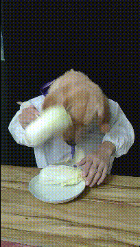 狗子多吃一点动物gif搞笑图片